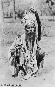 Un fakiro a Delhi, XX secolo
