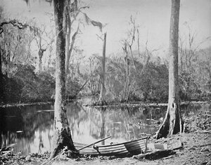 Un affluente del fiume St. Johns, Florida, c1897