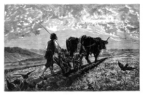 Un agricoltore francese, c1890 da Unbekannt