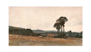 Una scena di raccolto - uno schizzo all