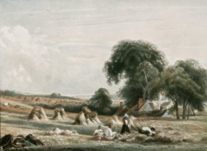 Scena di raccolto da Unbekannt