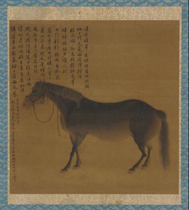 Un cavallo
