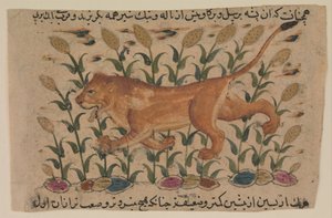 Un Leone, Folio da un Nuzhatnama-i ‘Ala’i Disperso
