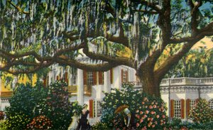 Una villa nelle Caroline, 1942 da Unbekannt