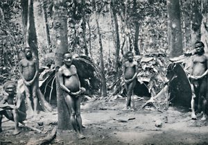 Villaggio pigmeo, Bacino del Congo nord-orientale, 1912