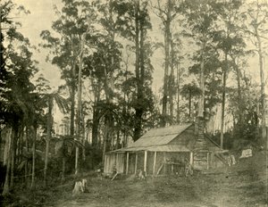 Una dimora rustica, 1901 da Unbekannt