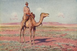 Una scena nell