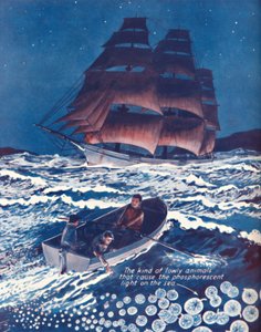 Un mare illuminato da luci notturne viventi, 1935 da Unbekannt