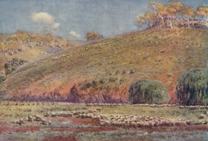 Un pascolo di pecore, 1923 da Unbekannt