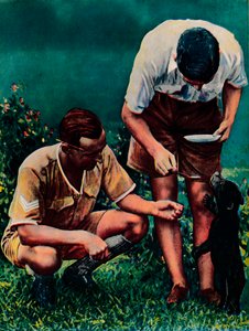 Una mascotte di Singapore della RAF, 1940 da Unbekannt