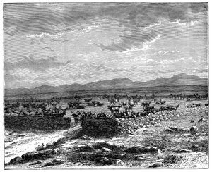 Un kraal di bestiame sudafricano, c. 1890 da Unbekannt