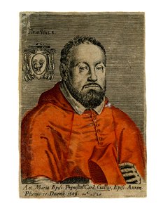 Un cardinale