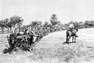 Un convoglio di carri, Sud America, 1895