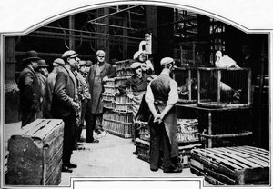 Un angolo del mercato di Leadenhall, Londra, c1901 da Unbekannt