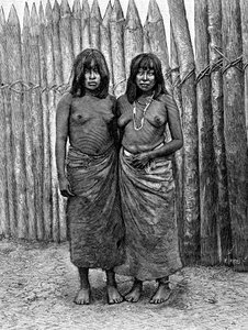 Una coppia di donne indiane del Gran Chaco, Sud America, 1895 da Unbekannt