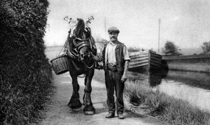 Un cavallo che tira una chiatta sul canale da Unbekannt