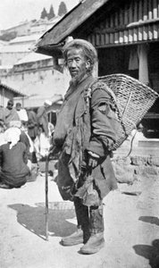 Un nativo di Darjeeling, Bengala Occidentale, India, c1910