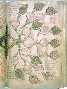 Una pagina dal Liber Floridus da Unbekannt