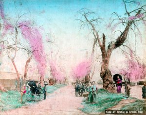 Un parco in primavera, Sendai, Prefettura di Miyagi, Giappone da Unbekannt
