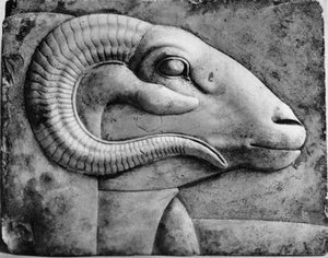 Testa di ariete, Egitto, 1936