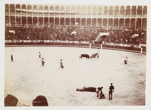 Fotografia di una corrida davanti a una grande folla nell