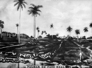 Azione di PasoReal, 1896, anni 1920 da Unbekannt