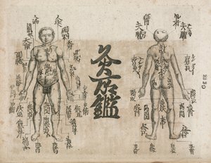 Mappa del corpo umano per l