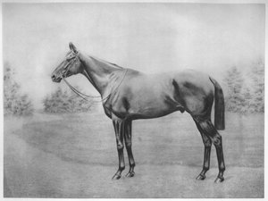 Ammiraglio Togo III, 1911 da Unbekannt