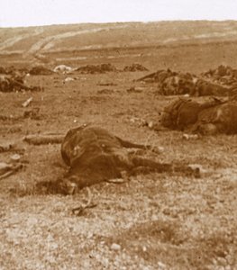 Dopo la carica, Beauséjour, Francia settentrionale, c1914-c1918 da Unbekannt