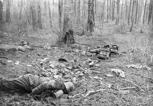 Conseguenze dei combattimenti nel parco di Plessis-de-Roye, Piccardia, Francia, 30 marzo 1918 da Unbekannt