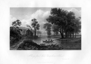 Albany dall