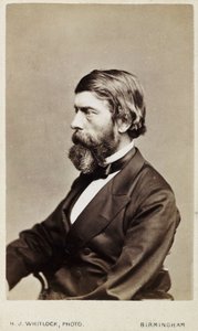 Alexander William Williamson, chimico scozzese, c 1865 da Unbekannt