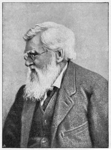 Alfred Russell Wallace, naturalista gallese, c1895 da Unbekannt