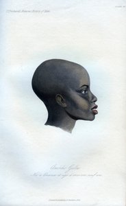 Amochi Galla, un ritratto di un Galla, 1848