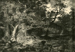 Una vecchia foresta tedesca, 1890 da Unbekannt