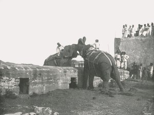 Combattimento di elefanti, Hyderabad, India, 1895 da Unbekannt