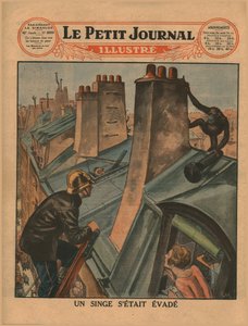 Uno scimpanzé fuggito, 1930