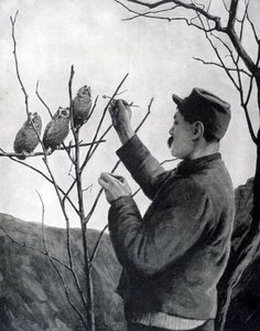 Una decorazione originale della trincea, Francia, Prima Guerra Mondiale, 1915 da Unbekannt