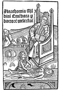 Dimostrazione di anatomia, 1493