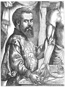 Andreas Vesalius, anatomista fiammingo del XVI secolo