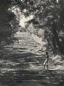 Inizio delle Scale di Pietra di Mihintale, 1926