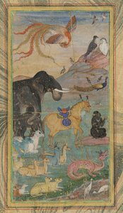 Animali e uccelli, XVII secolo