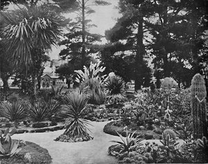 Giardino dell