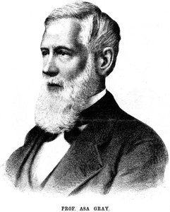 Asa Gray, botanico americano, 1888 da Unbekannt