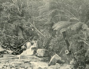 Al pozzo di San Crispino, 1901 da Unbekannt