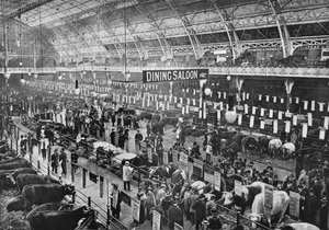 Alla mostra del bestiame del Smithfield Club, Agricultural Hall, Islington, Londra, 1902-1903 da Unbekannt