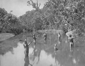 Aborigeni australiani che pescano con la lancia