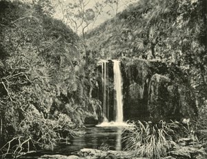 Cascate di Back Creek, fiume Buchan, Victoria, 1901 da Unbekannt