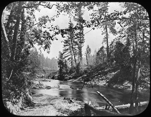 Backwoods, USA occidentale da Unbekannt