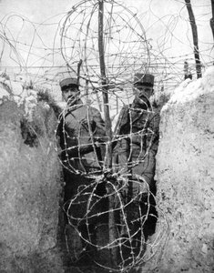 Filo spinato che circonda una trincea francese, Prima Guerra Mondiale, 1915 da Unbekannt